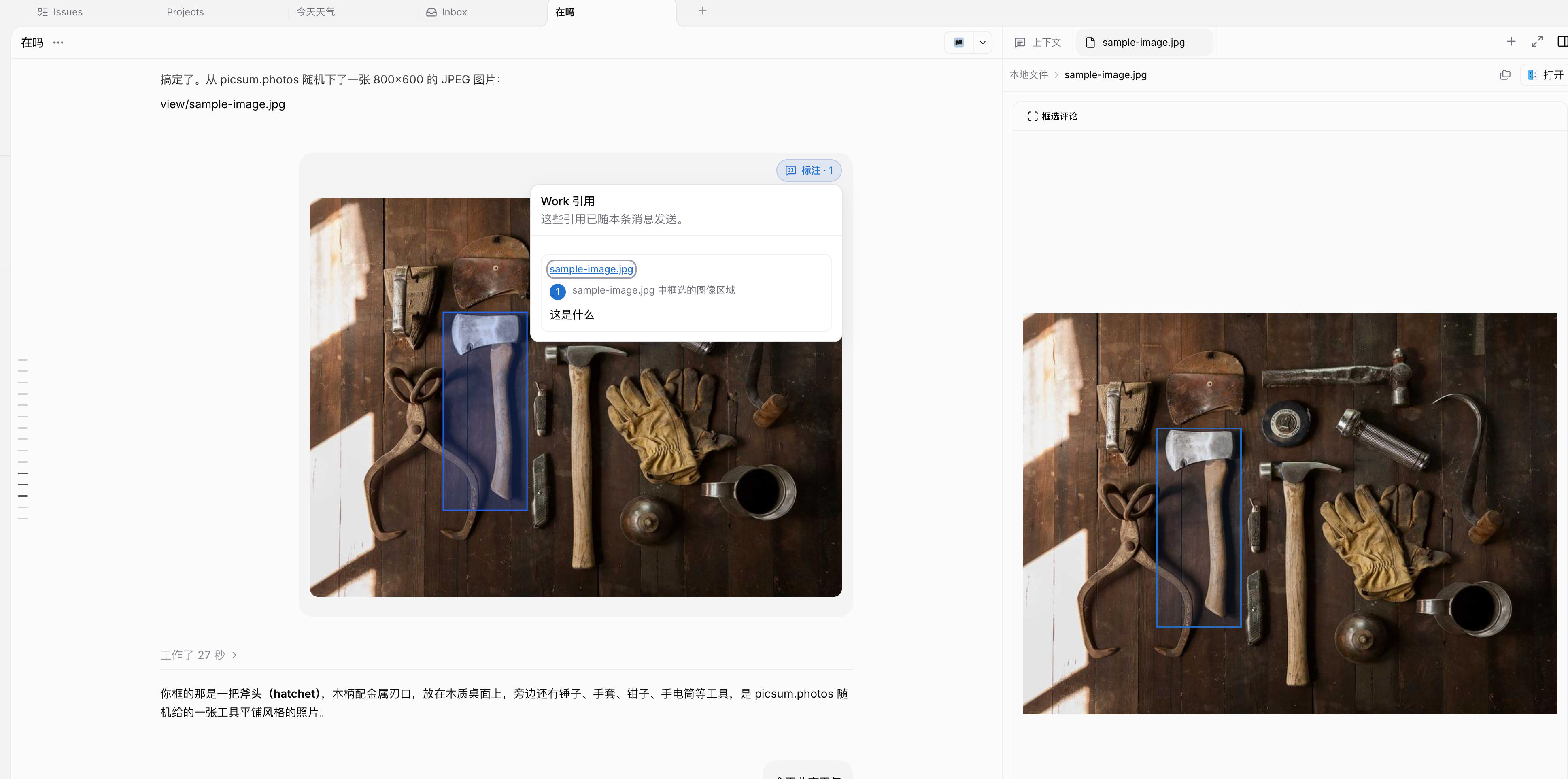 图片预览侧边栏中框选出一块区域并添加评论，Work 引用面板显示该图片与框选区域